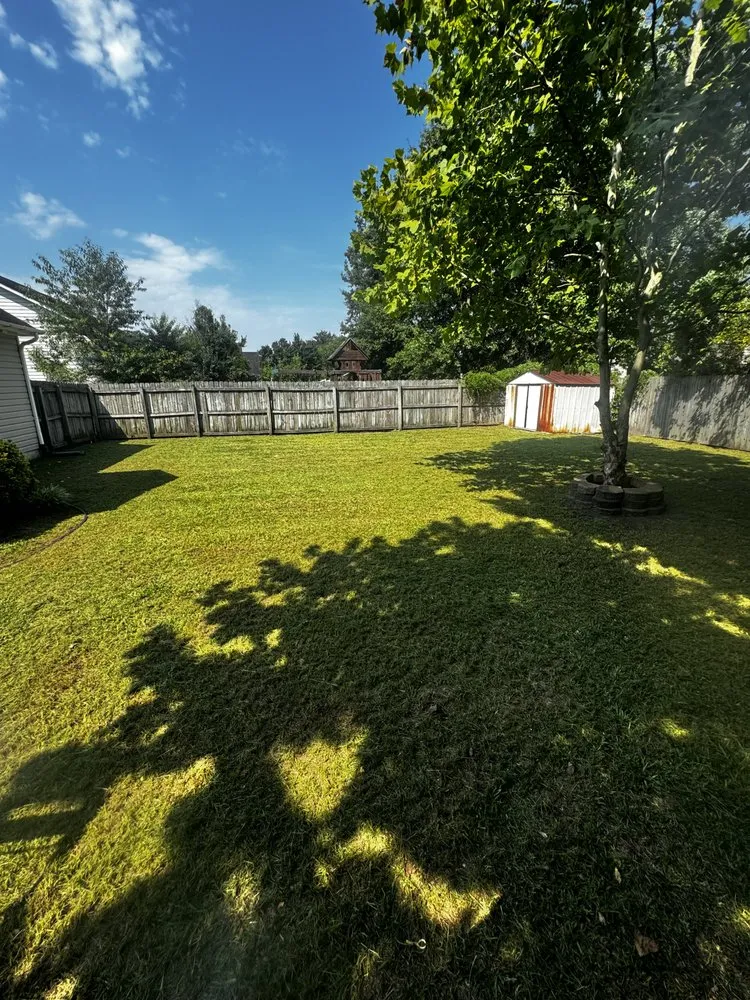 Custom yard maintenance for year-round maintenance across Fayetteville, NC - Mac’s Lawn Care