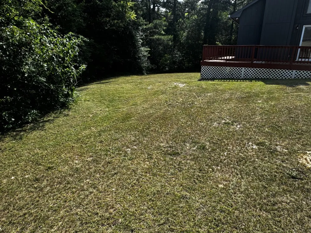 Expert residential landscaping for beautiful yards across Fayetteville, NC - Mac’s Lawn Care