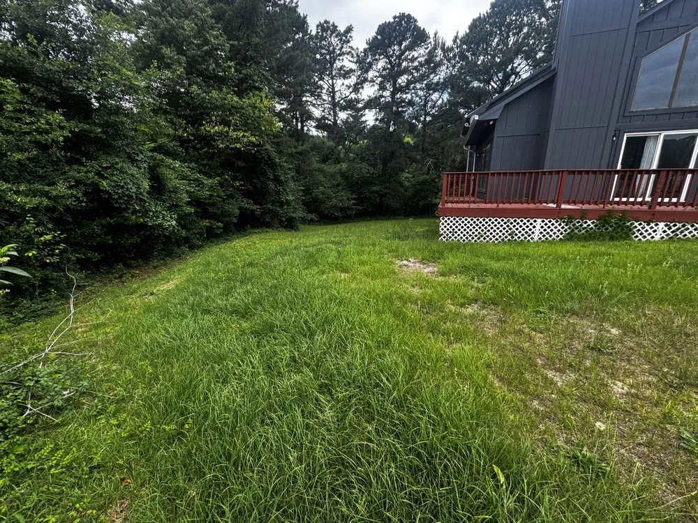 Reliable yard cleanup service in Fayetteville, NC by Mac’s Lawn Care