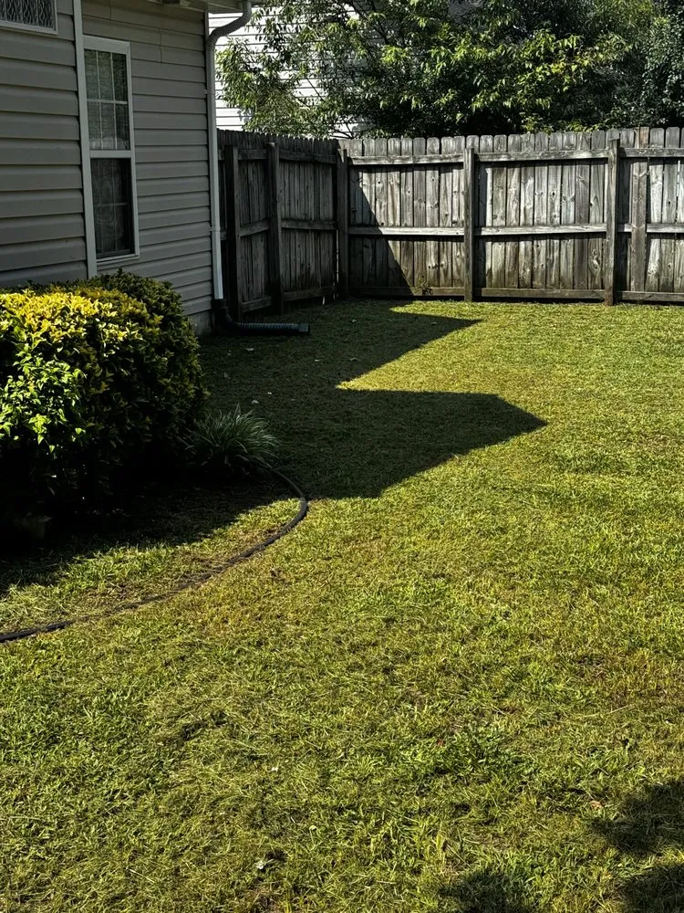 Custom yard cleanup service in Fayetteville, NC - Mac’s Lawn Care