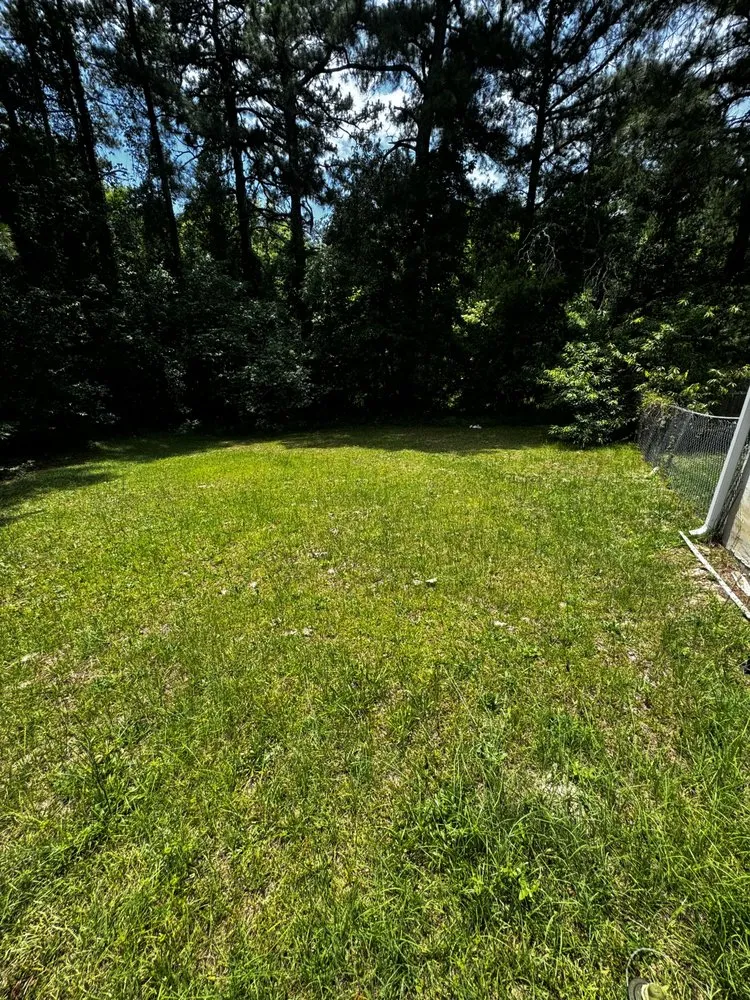 Professional yard cleanup service in Fayetteville, NC by Mac’s Lawn Care