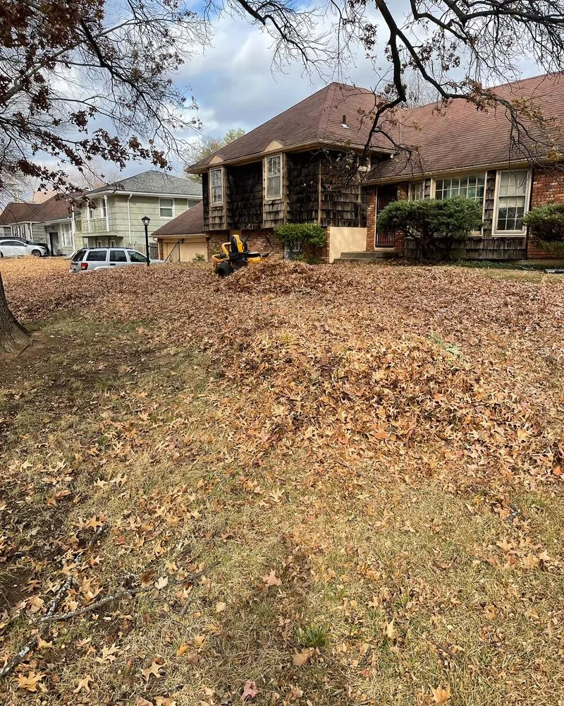 Affordable lawn care service for residential properties in Lee's Summit, MO by Macs Lawn Care