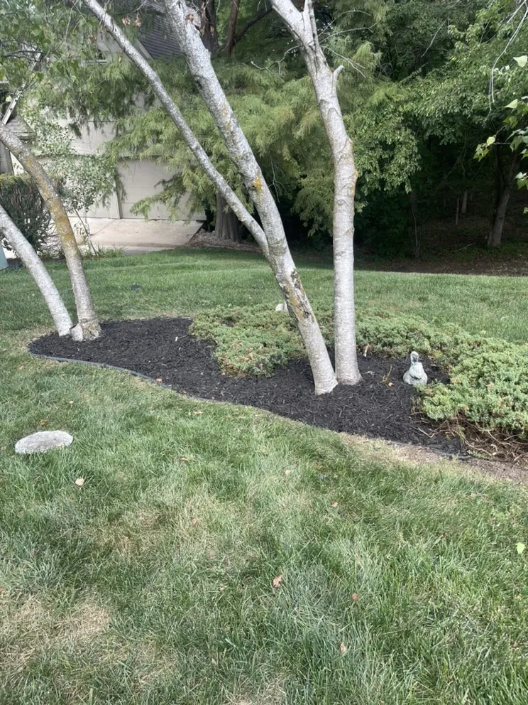 Professional yard maintenance in Lee's Summit, MO - Macs Lawn Care