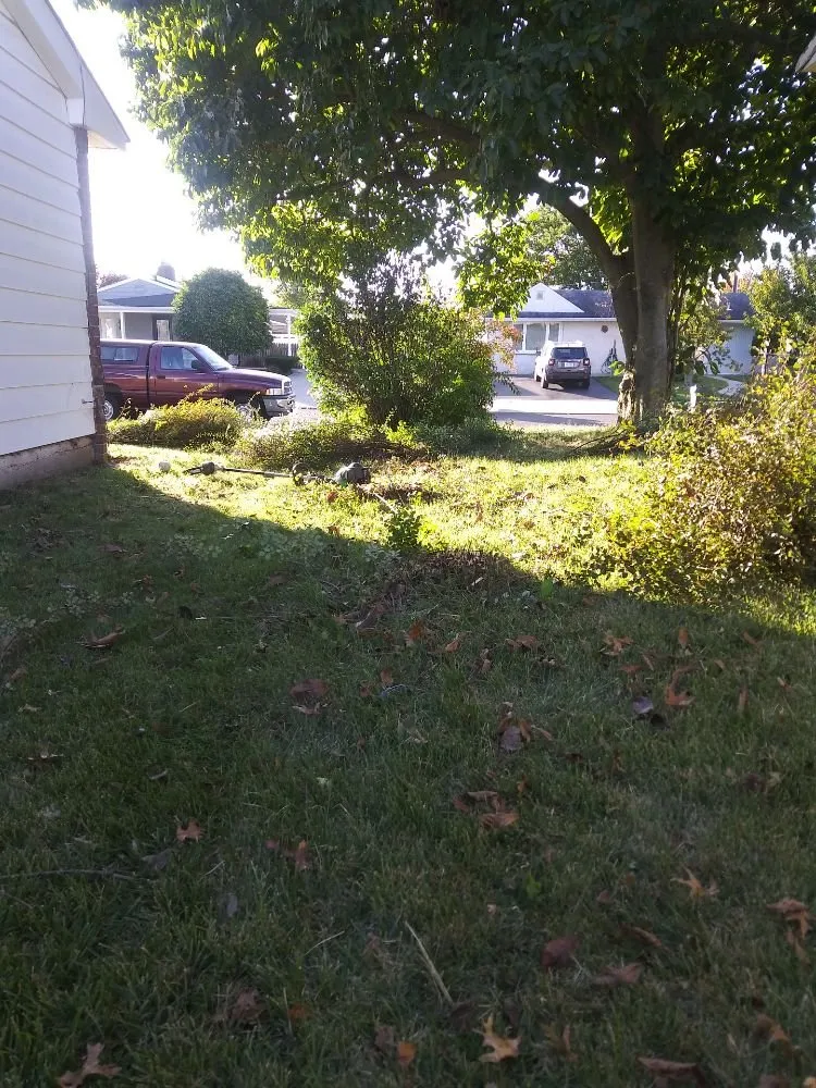 Top-rated lawn care service for residential properties across Levittown, PA - Mac's Lawn Service