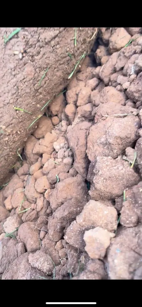 Custom garden landscaping in Maricopa, AZ by Mac's Lawn Service