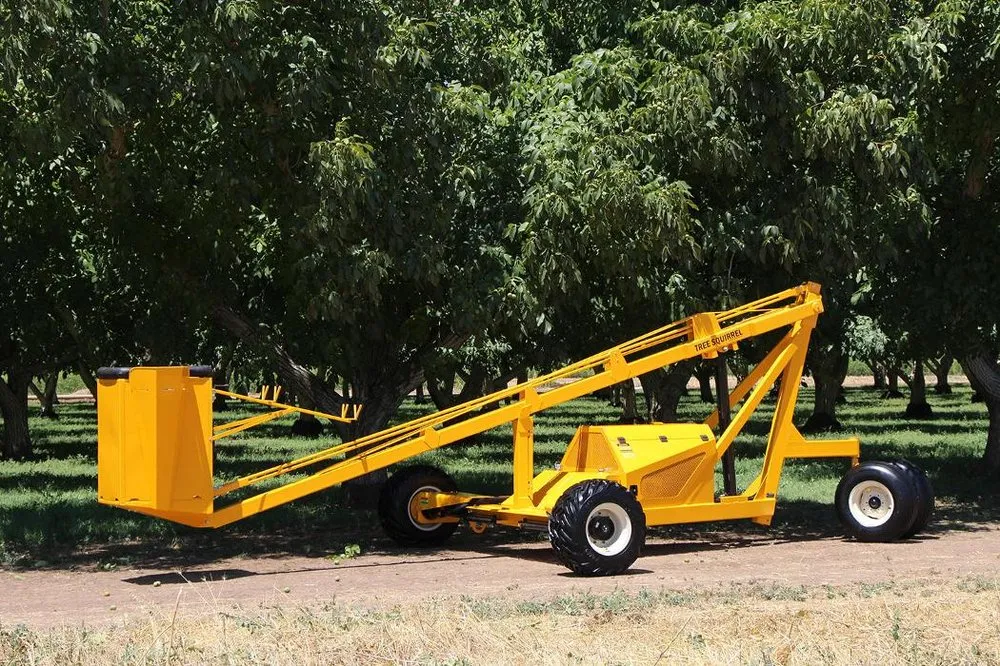 Local yard maintenance in Maricopa, AZ by Mac's Lawn Service