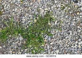 Top-rated garden landscaping for homes across Maricopa, AZ - Mac's Lawn Service