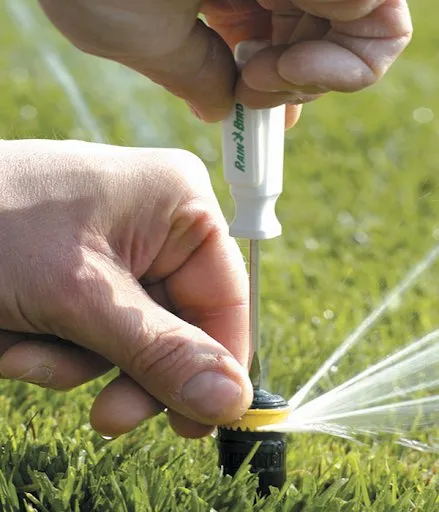 Professional yard maintenance in Maricopa, AZ by Mac's Lawn Service