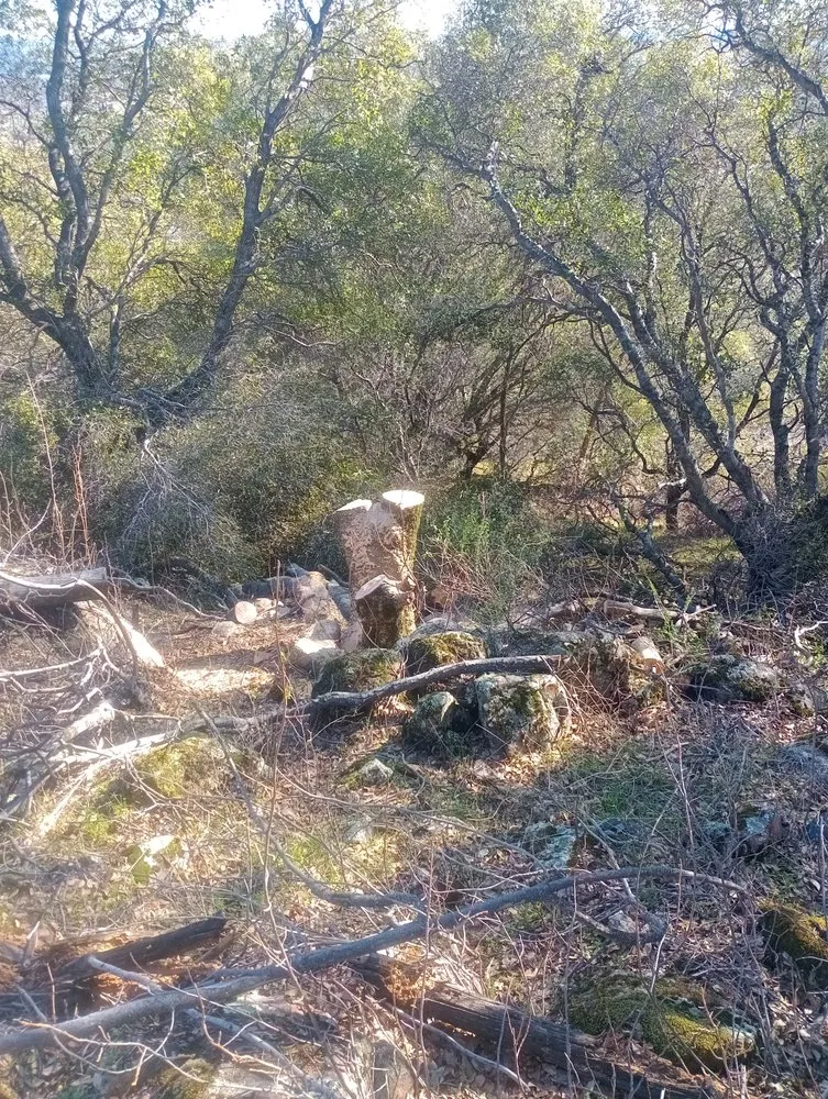 Expert garden landscaping with custom design in Nevada City, CA by Mac's Mobile Wood Splitting and Landscape