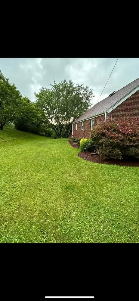 Trusted yard cleanup service in East McKeesport, PA by Mac's Mowing