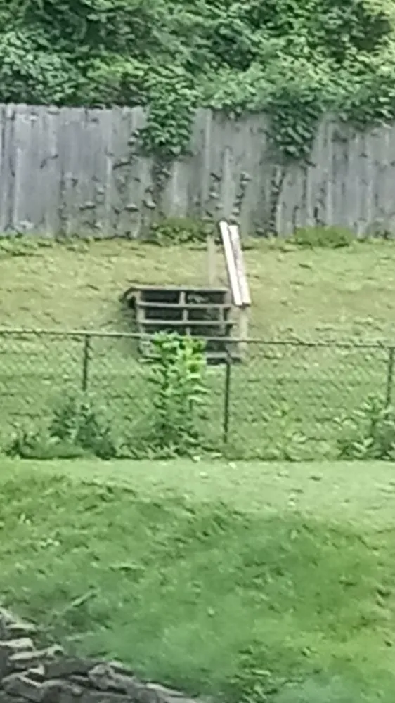 Custom outdoor landscaping in East McKeesport, PA by Mac's Mowing