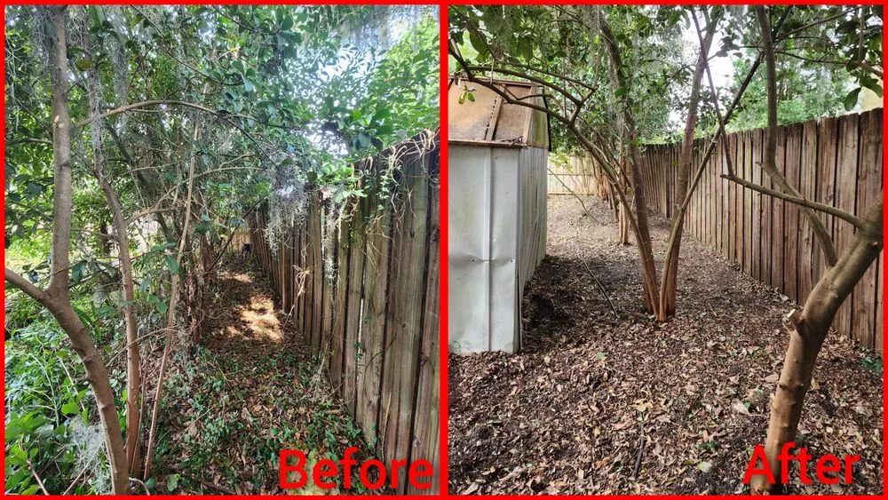 Top-rated landscape installation for residential properties across Jacksonville, FL - Macy's Home Services