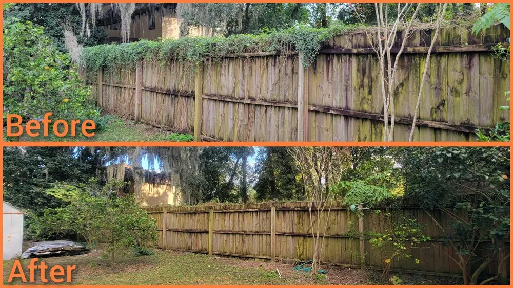 Local landscape design for beautiful yards in Jacksonville, FL by Macy's Home Services