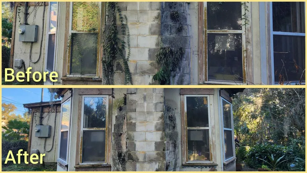 Top-rated residential landscaping in Jacksonville, FL - Macy's Home Services