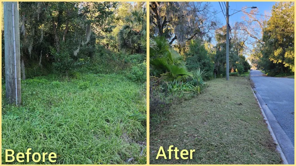 Custom residential landscaping for beautiful yards in Jacksonville, FL by Macy's Home Services