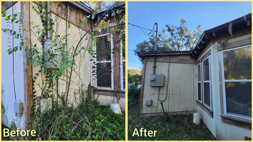 Professional yard cleanup service in Jacksonville, FL by Macy's Home Services