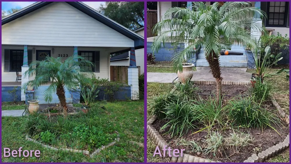 Top-rated yard cleanup service for residential properties across Jacksonville, FL - Macy's Home Services