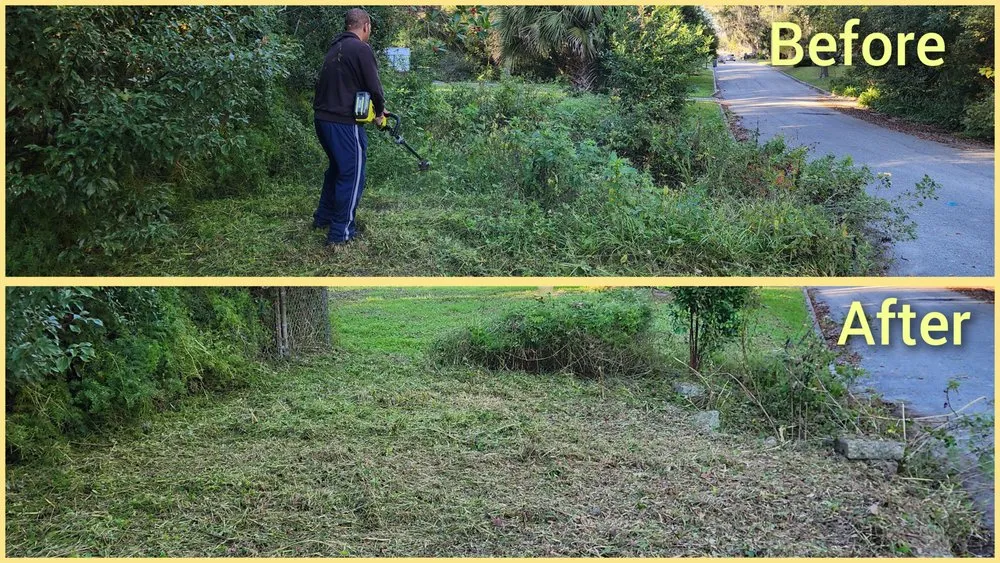 Trusted landscaping services in Jacksonville, FL by Macy's Home Services