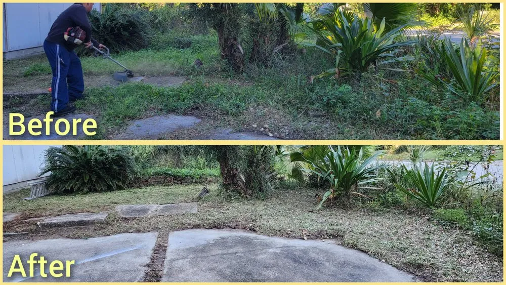 Custom landscape installation for beautiful yards in Jacksonville, FL by Macy's Home Services