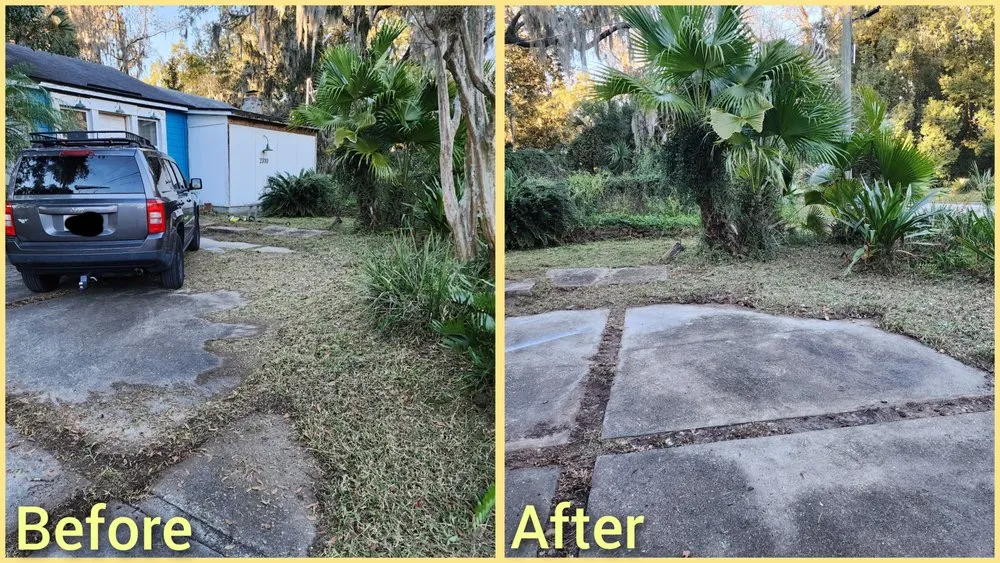 Expert landscaping services for residential properties in Jacksonville, FL by Macy's Home Services