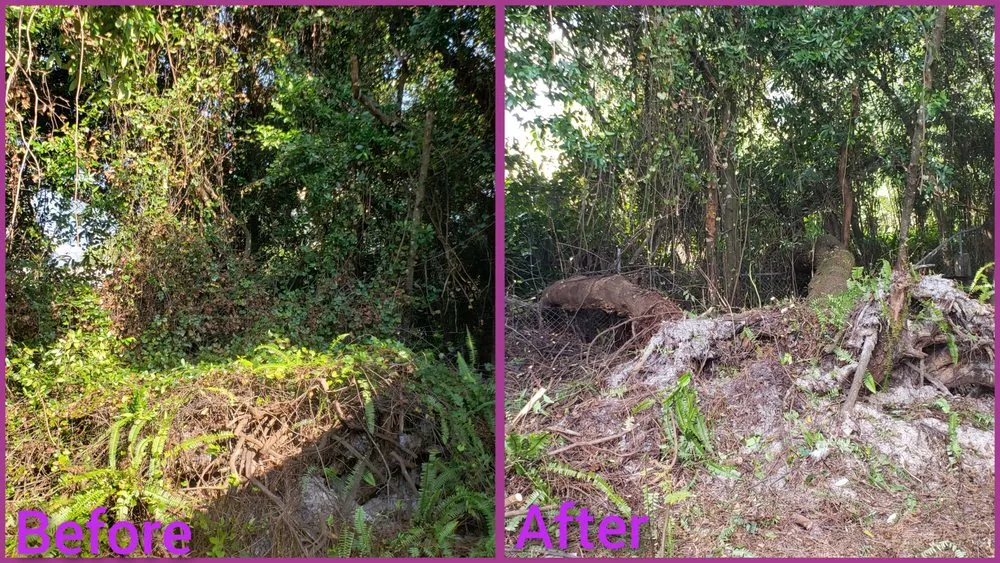 Top-rated lawn mowing service near you across Jacksonville, FL - Macy's Home Services