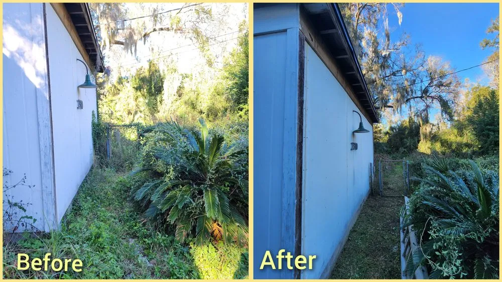 Professional landscape design for residential properties in Jacksonville, FL by Macy's Home Services