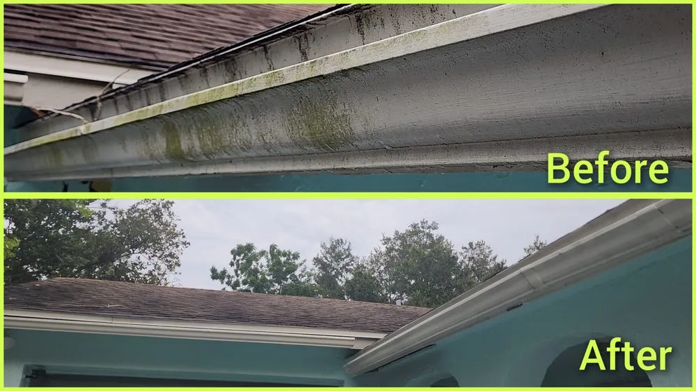 Affordable landscape design experts serving Jacksonville, FL - Macy's Home Services