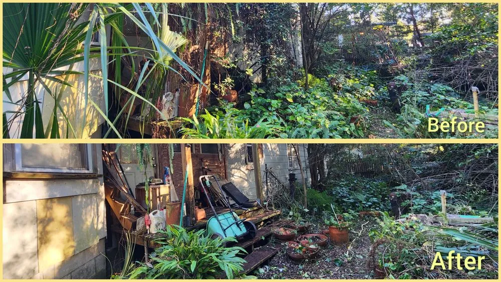 Expert landscape design in Jacksonville, FL - Macy's Home Services