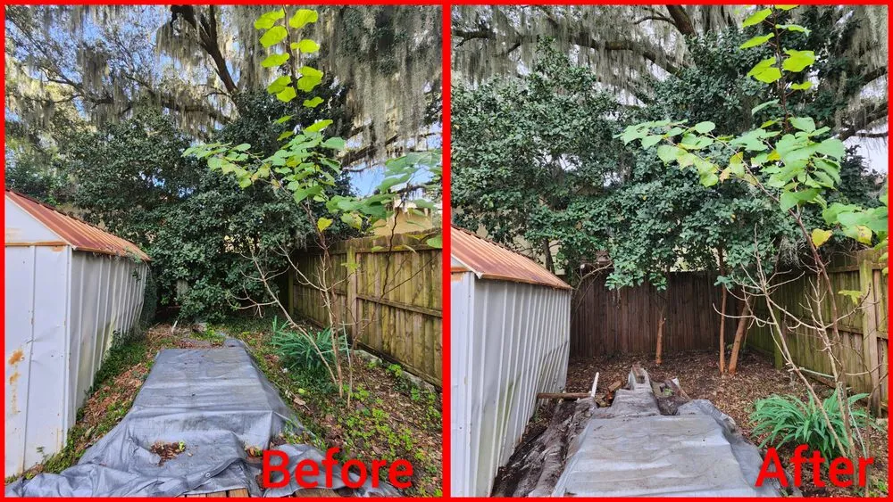 Trusted lawn care service for year-round maintenance across Jacksonville, FL - Macy's Home Services