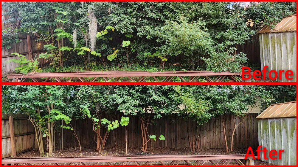 Professional outdoor landscaping in Jacksonville, FL - Macy's Home Services