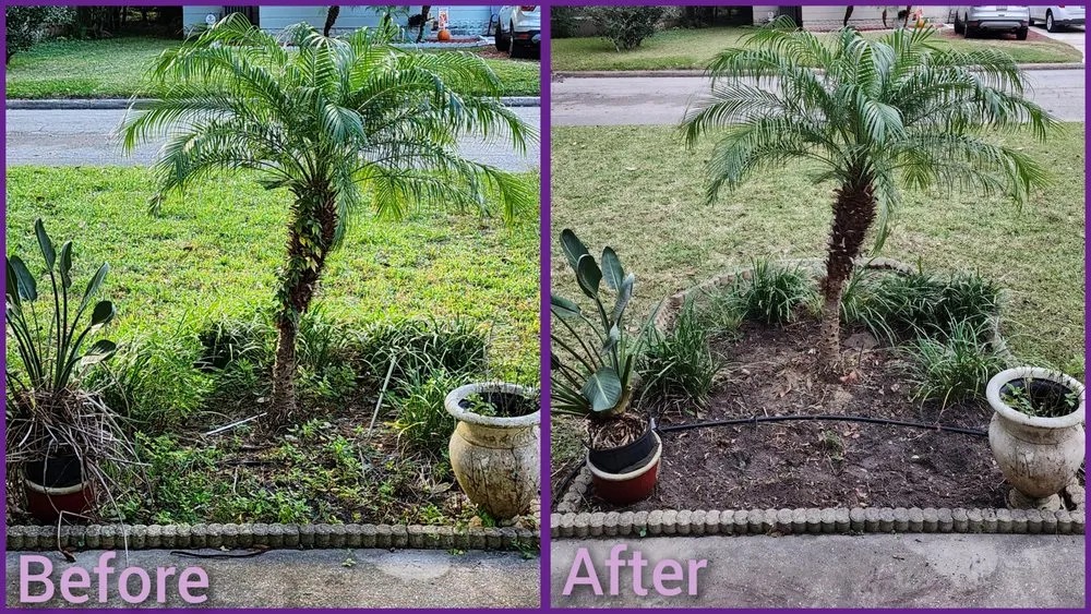 Reliable garden landscaping in Jacksonville, FL by Macy's Home Services