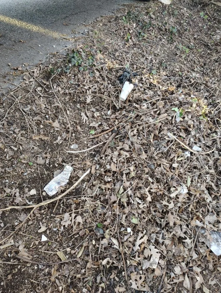 Top-rated lawn care service in Trinity, NC by Macy's Tree Care Specialists