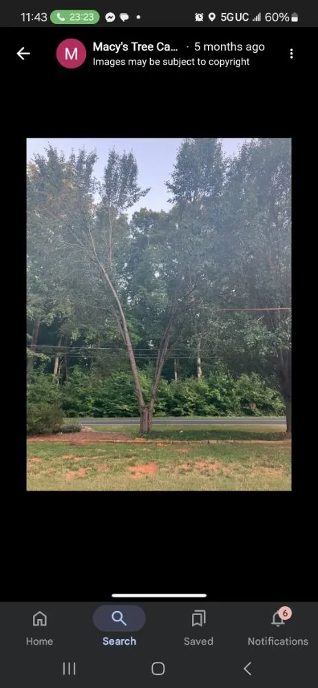 Reliable garden landscaping for homes across Trinity, NC - Macy's Tree Care Specialists