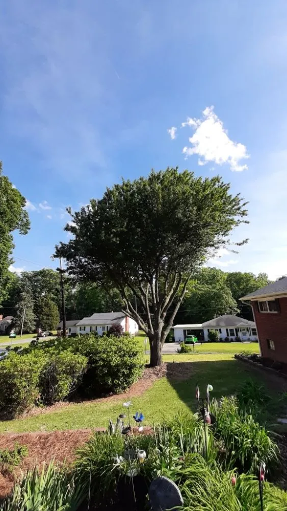 Professional residential landscaping for residential properties in Trinity, NC by Macy's Tree Care Specialists