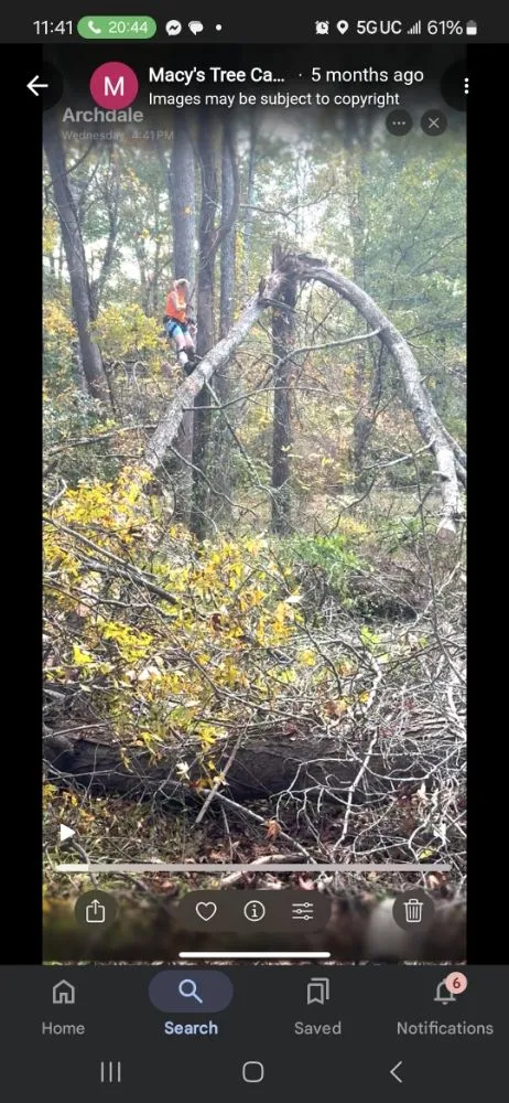 Expert outdoor landscaping near you across Trinity, NC - Macy's Tree Care Specialists