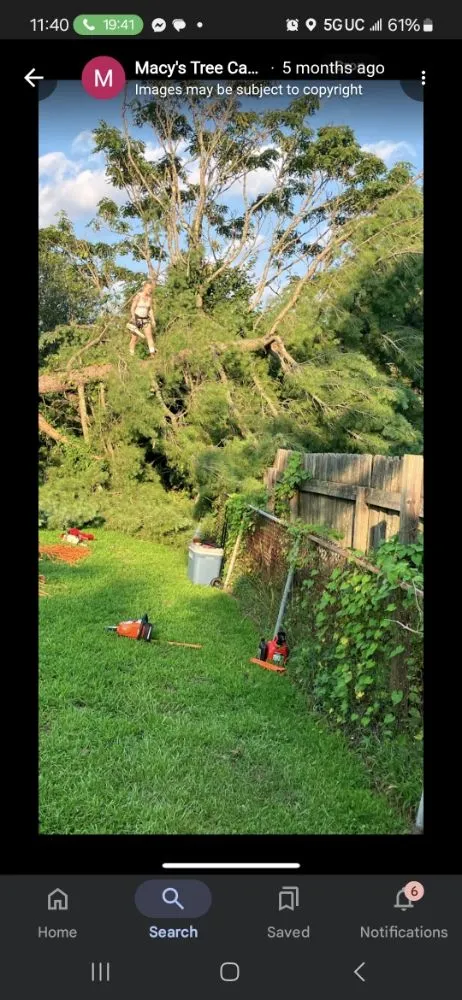 Affordable yard cleanup service in Trinity, NC by Macy's Tree Care Specialists