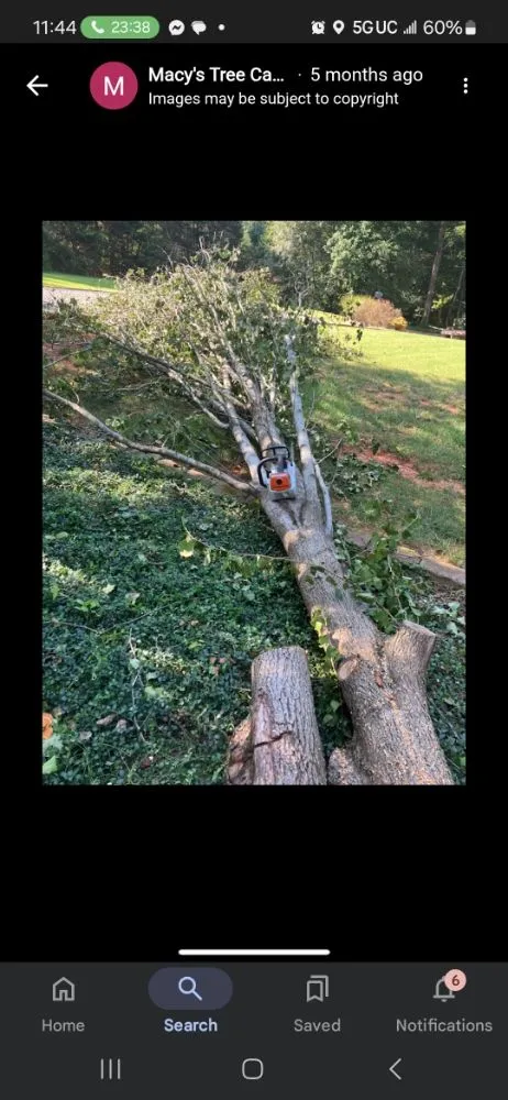 Top-rated lawn care service in Trinity, NC - Macy's Tree Care Specialists