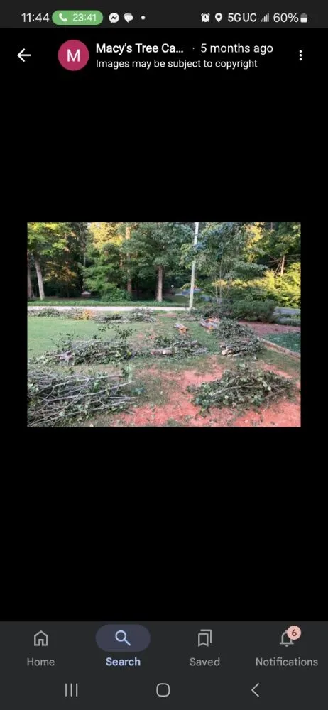 Reliable residential landscaping for homes across Trinity, NC - Macy's Tree Care Specialists