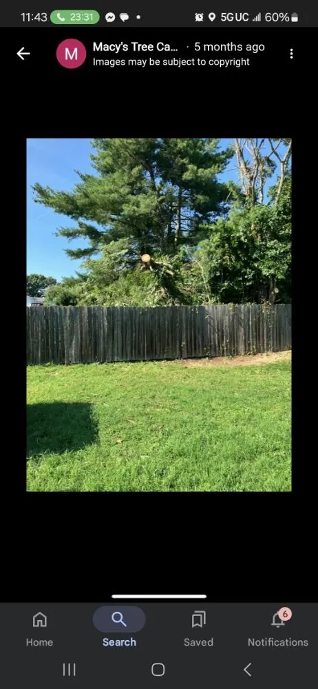 Reliable yard cleanup service with custom design across Trinity, NC - Macy's Tree Care Specialists