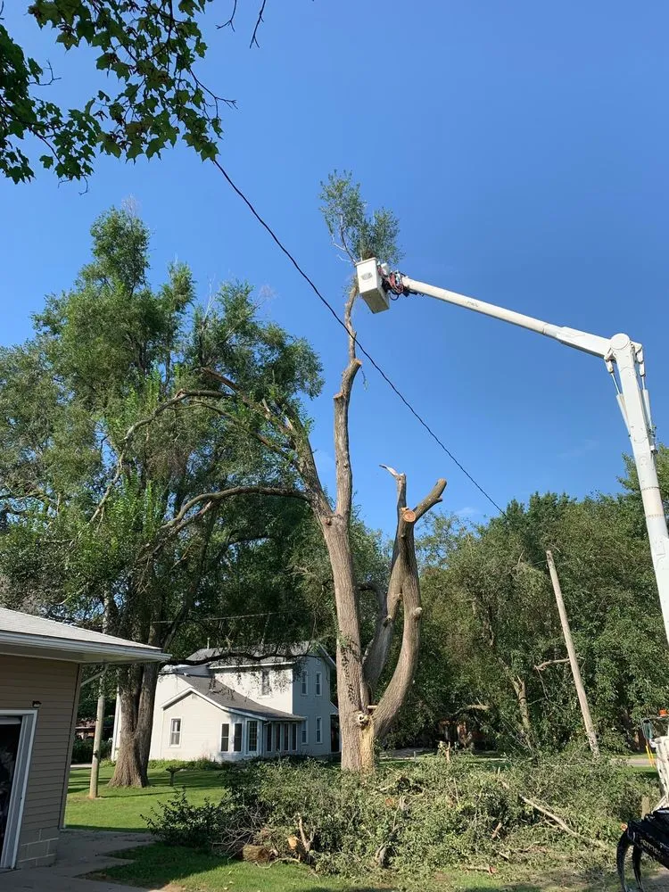 Top-rated landscaping services in Lincoln, IL - Mad About Trees