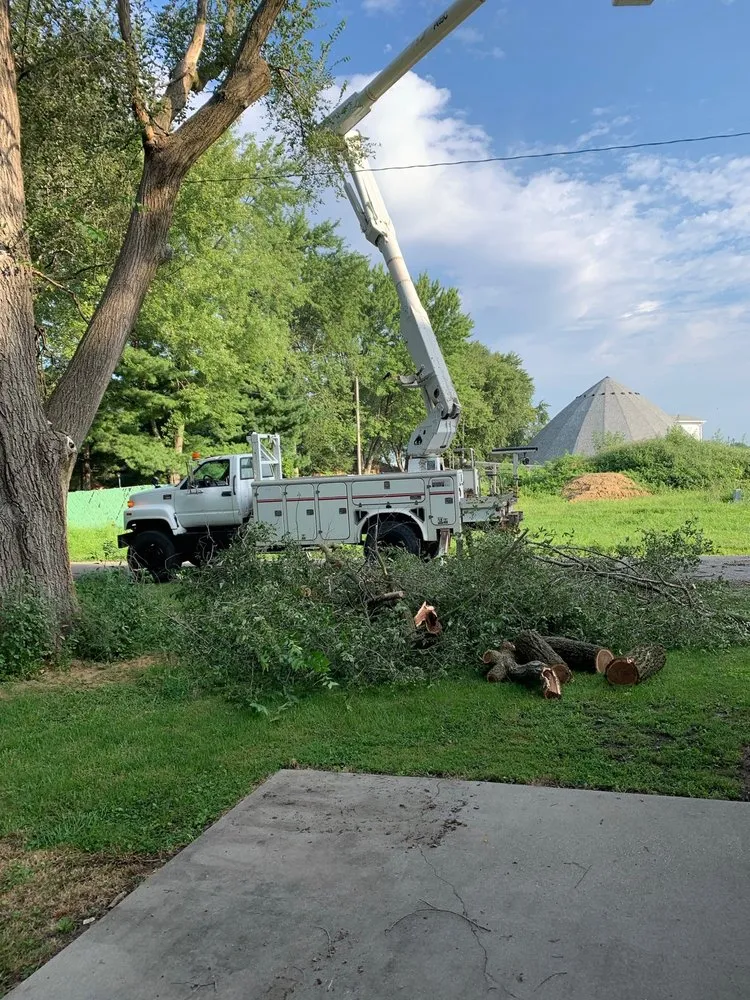 Trusted yard maintenance experts serving Lincoln, IL - Mad About Trees
