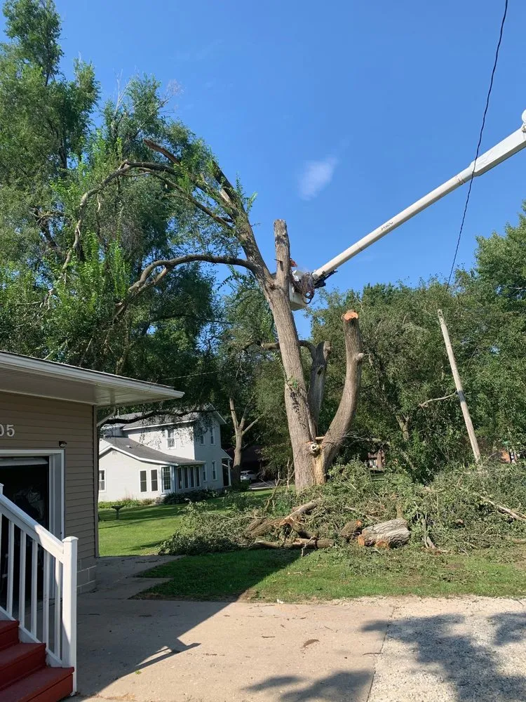 Affordable outdoor landscaping experts serving Lincoln, IL - Mad About Trees