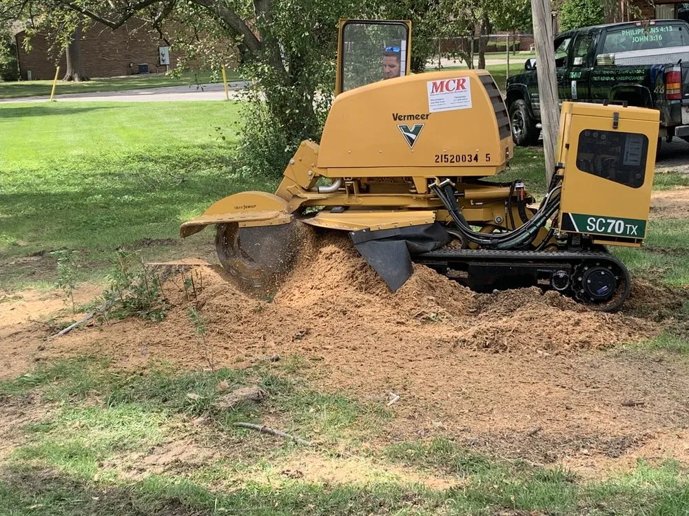 Top-rated landscape design for beautiful yards across Lincoln, IL - Mad About Trees
