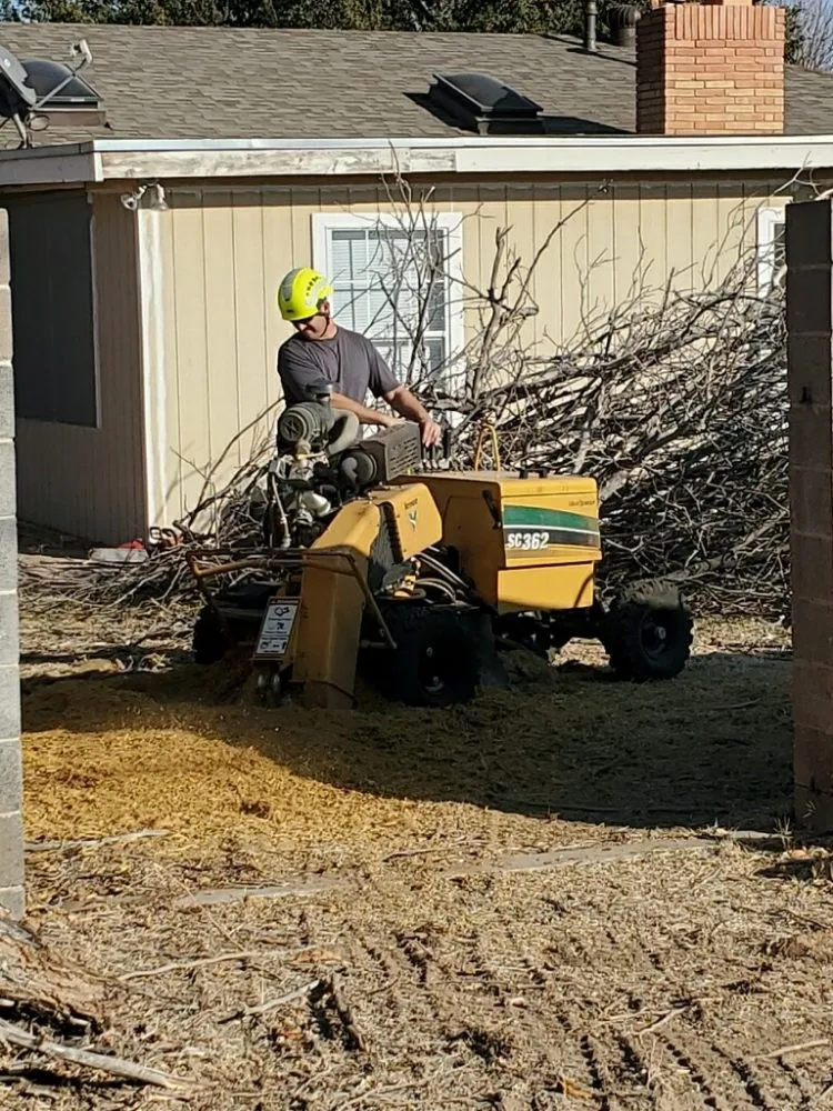 Affordable landscape design for residential properties in Midland, TX by Mad Ax Lawn & Tree