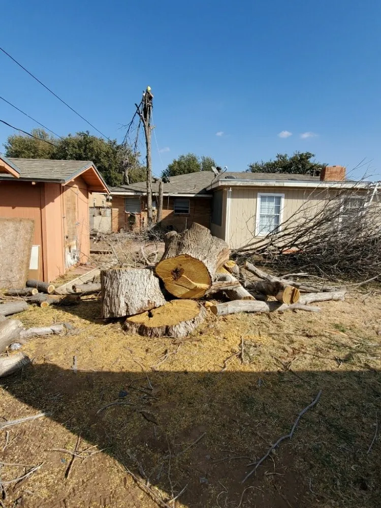 Trusted landscape installation for homes across Midland, TX - Mad Ax Lawn & Tree