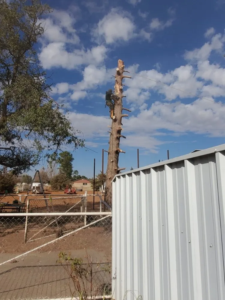 Local garden landscaping experts serving Midland, TX - Mad Ax Lawn & Tree