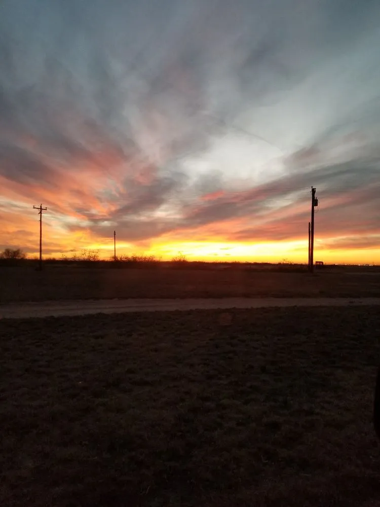 Professional garden landscaping in Midland, TX - Mad Ax Lawn & Tree