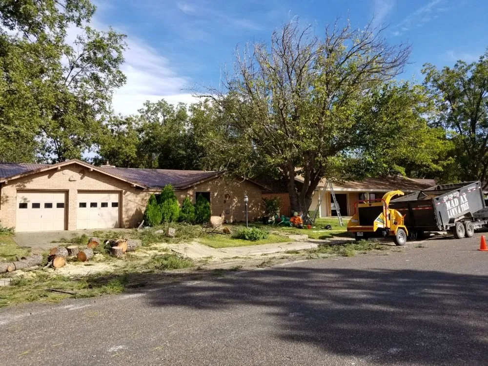 Reliable landscape installation in Midland, TX by Mad Ax Lawn & Tree