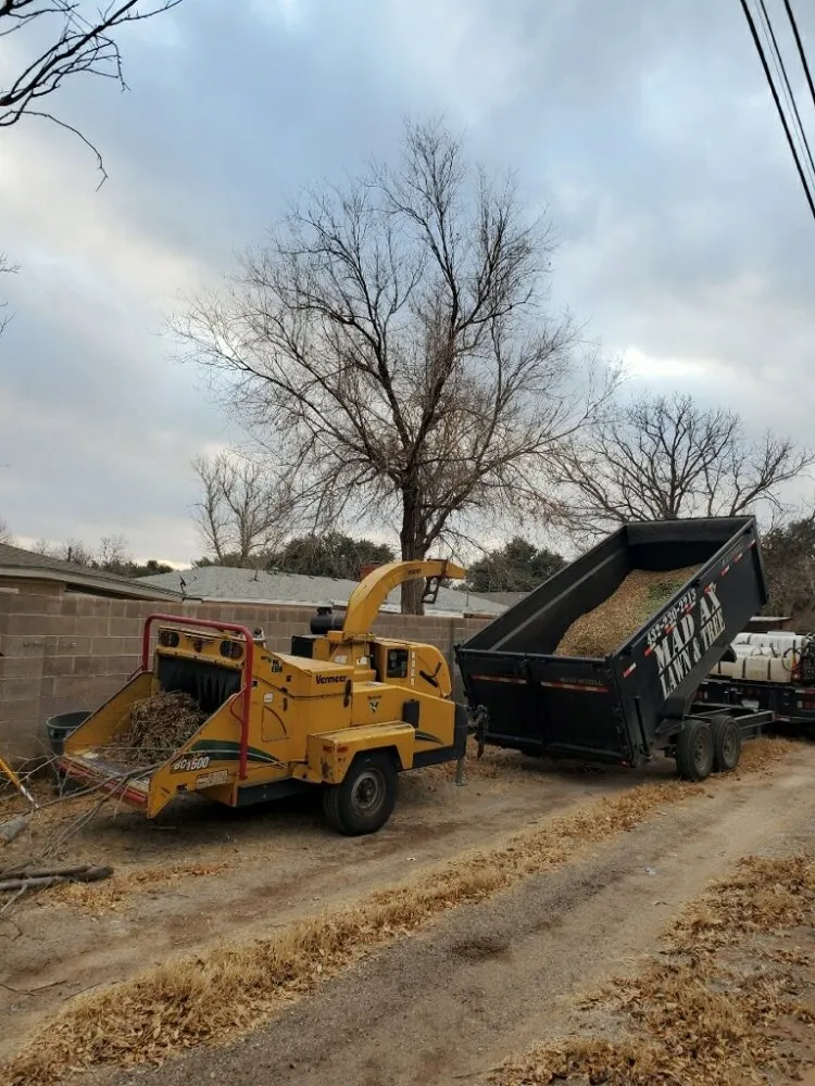 Local landscape design in Midland, TX by Mad Ax Lawn & Tree