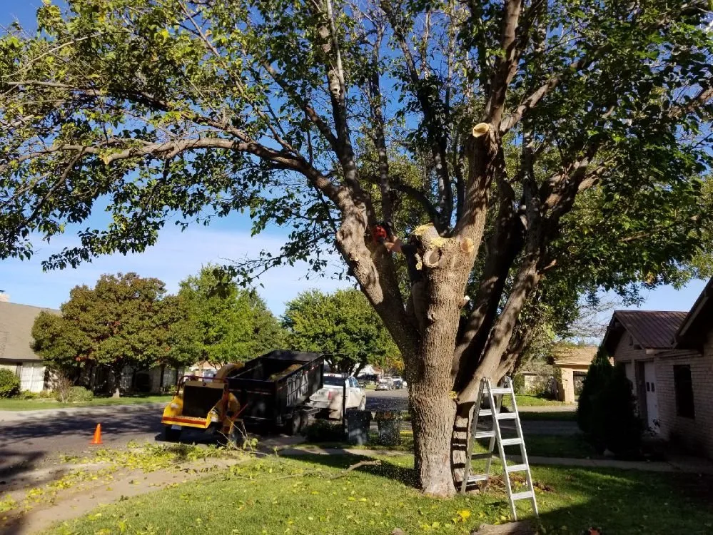 Custom garden landscaping for outdoor upgrades across Midland, TX - Mad Ax Lawn & Tree